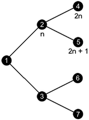 Binary Tree